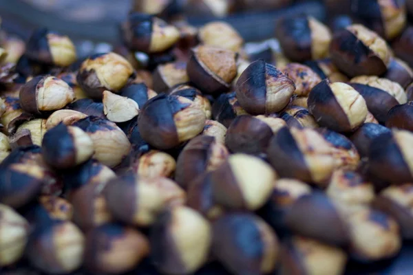 stock image Chestnuts