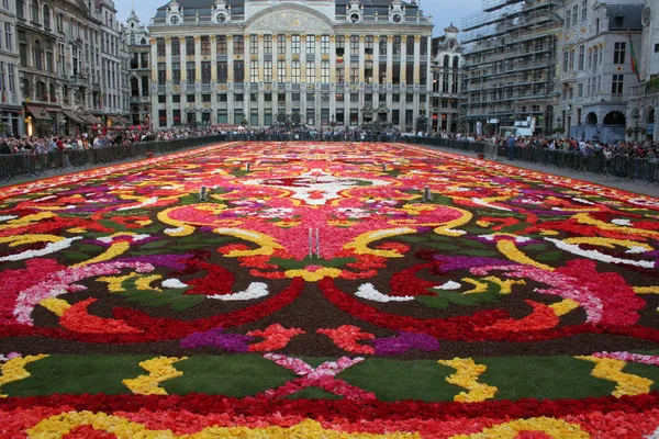 Flower carpet in Brussels — Stock Photo, Image
