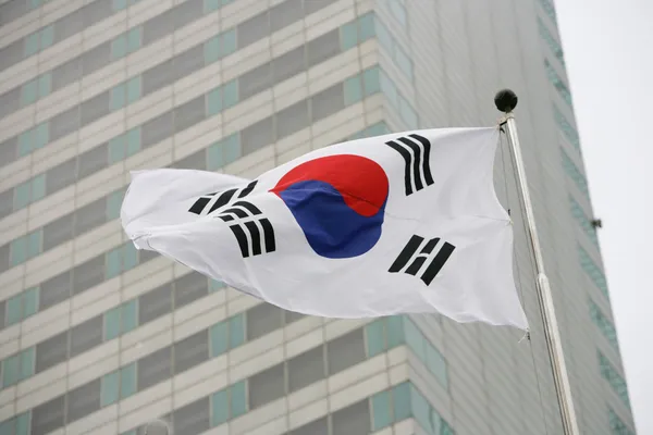 Machająca flaga Korei Południowej — Zdjęcie stockowe