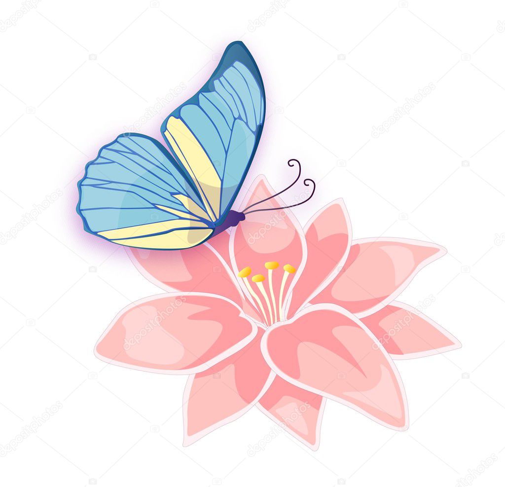 Illustration of the pattern, presenting blue colour butterfly flower rose insulated on white