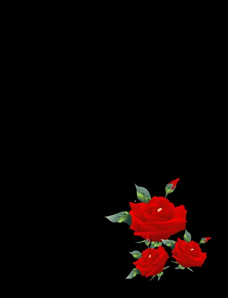 Ilustración de una rosa tres — Foto de Stock