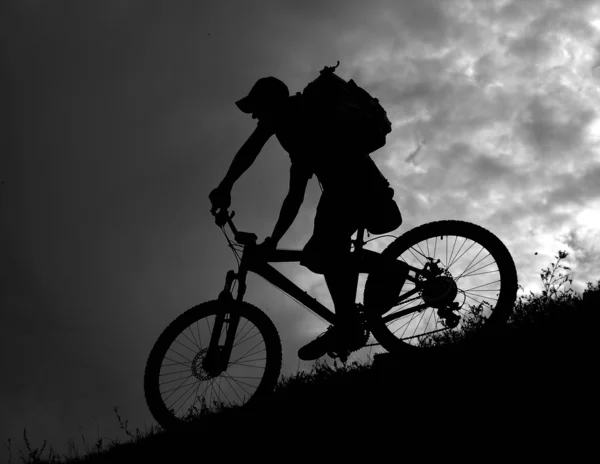 Downhill biker — Stock Photo, Image
