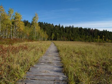 Tahta yol