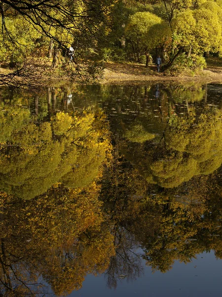 stock image Reality reflections