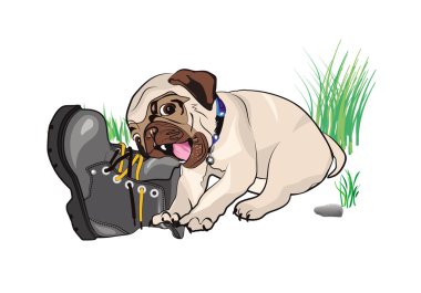 Baby pug clipart