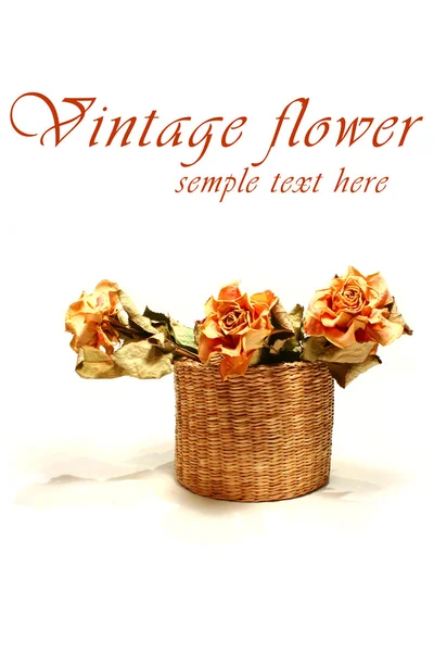 Vintage flower — Stock fotografie