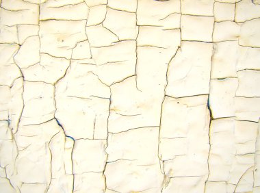 Textured old wall clipart