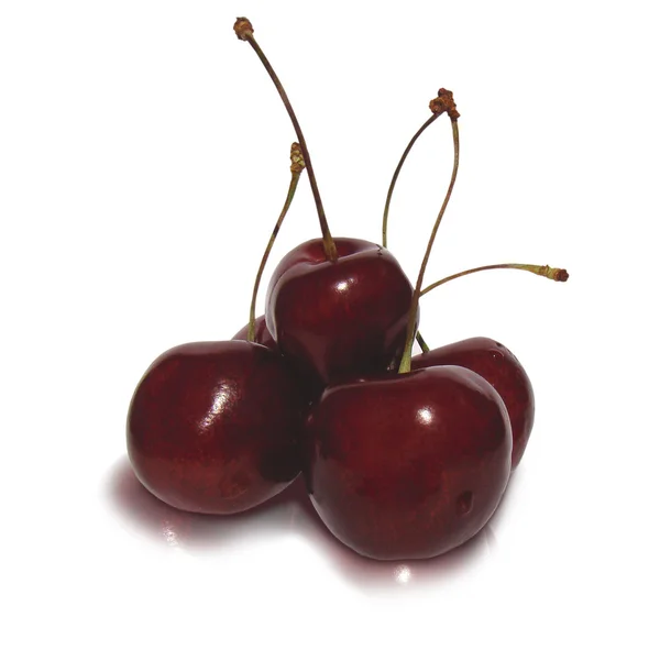 Cerasus avium - black cherry — Stock Photo, Image