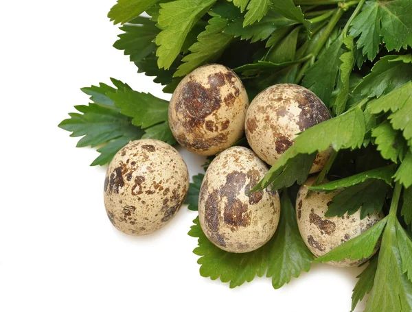 Los huevos frescos de la codorniz con la verdura — Foto de Stock