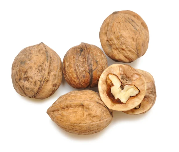 stock image Walnuts