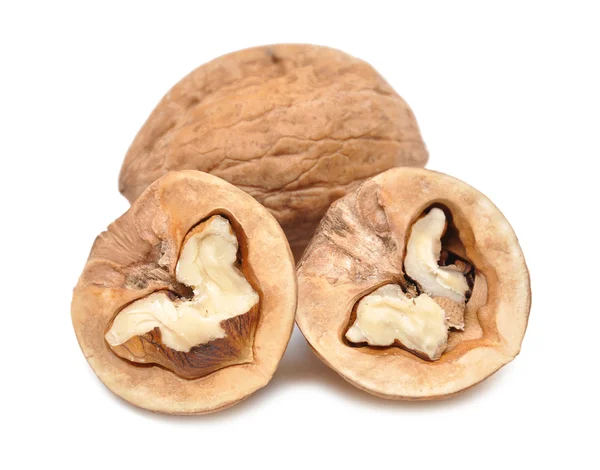 stock image Walnut