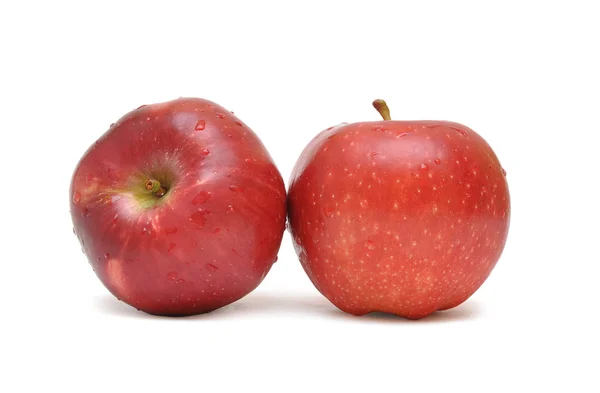 Dvě zralé jablka — Stock fotografie