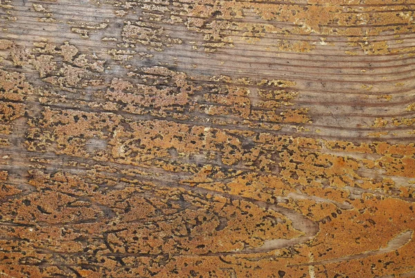 Staré a omšelé dřevěné zdi textury — Stock fotografie