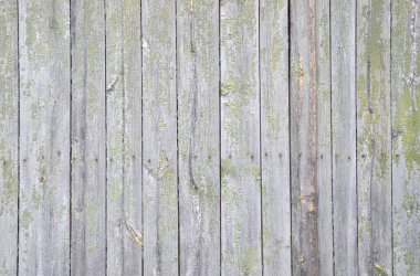 Wooden fence great as a background clipart