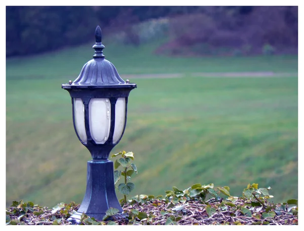 Bir lamba — Stok fotoğraf