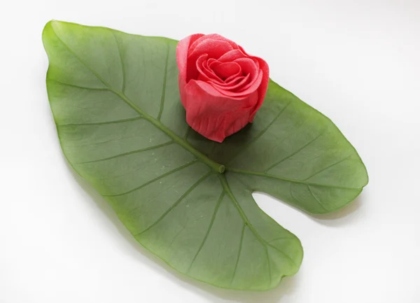 Yeşil yaprak üzerinde kırmızı gül — Stok fotoğraf