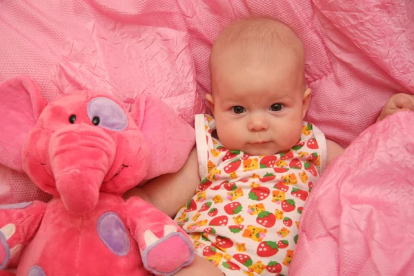 A kislány egy rózsaszín háttér — 스톡 사진