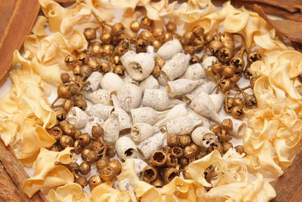 Hintergrund aus Samen für eine Zierde — Stockfoto