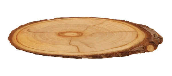 Cut of a tree with rings — Stock Photo, Image