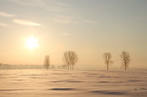 フィールドの上の冬の日の出 — ストック写真