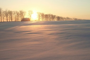 House among the trees at sunrise clipart