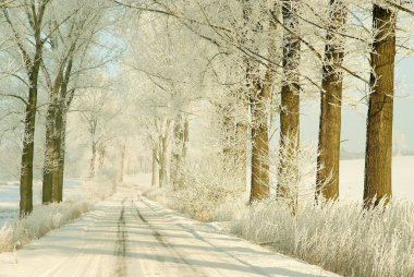 Winter road at sunrise clipart