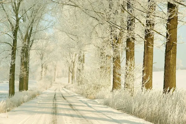 Estrada de inverno ao nascer do sol — Fotografia de Stock
