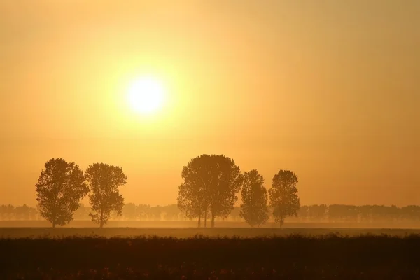 Nascer do sol sobre o campo — Fotografia de Stock