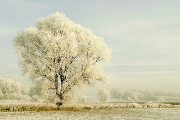 Pittoresco paesaggio invernale — Foto Stock