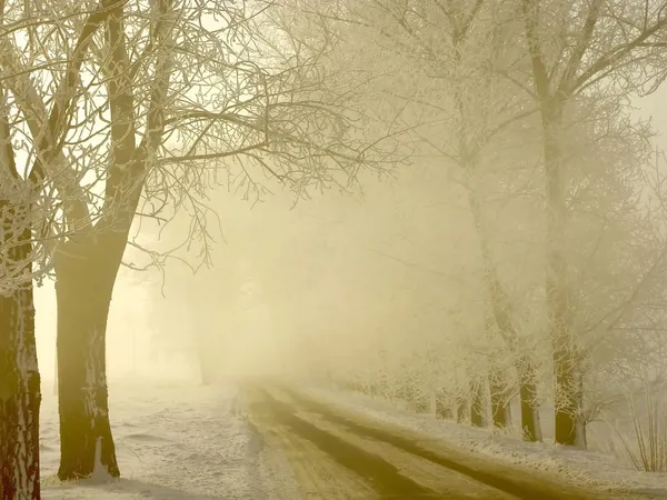 Vinterväg — Stockfoto