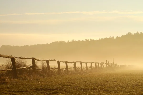 stock image Misty sunrise over the field