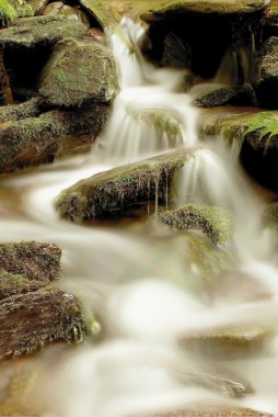 Forest waterfall clipart