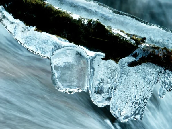 Orman akarsu üstünde buz — Stok fotoğraf