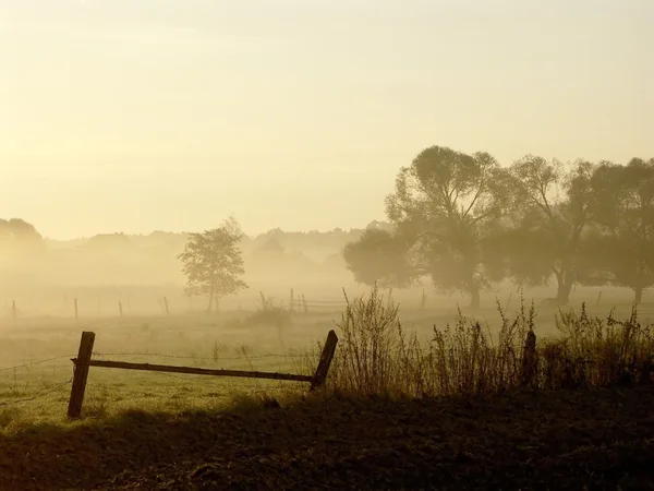 Soluppgång över dimmiga fältet — Stockfoto