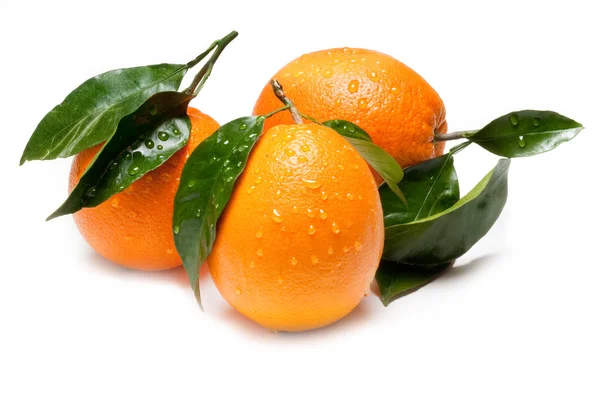 Gorup of orange — Stock Photo, Image