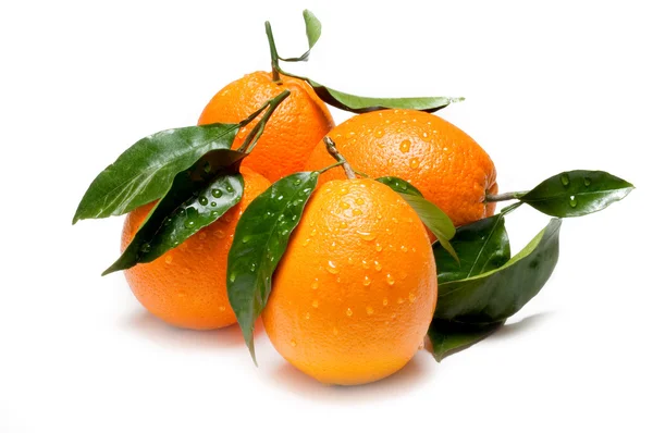 Gorup of orange — Stock Photo, Image