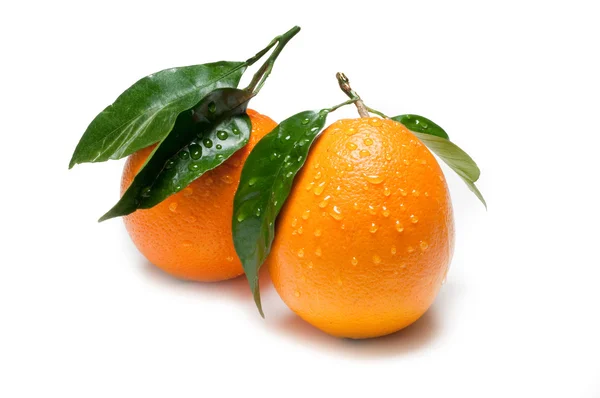 Two orange — Stock Photo, Image