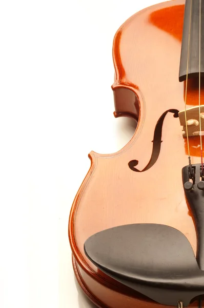 Violin on white — Stock Photo, Image