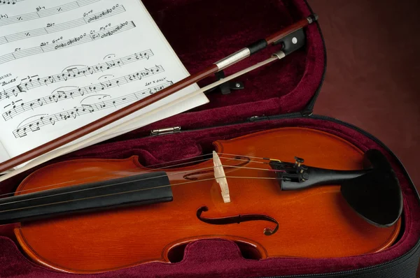바이올린 활 — 스톡 사진