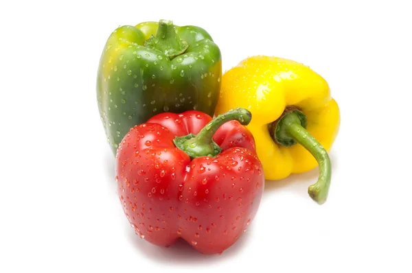 Odrůda papriky — Stock fotografie