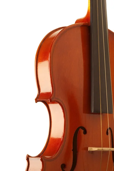 Violin on white Stock Photo