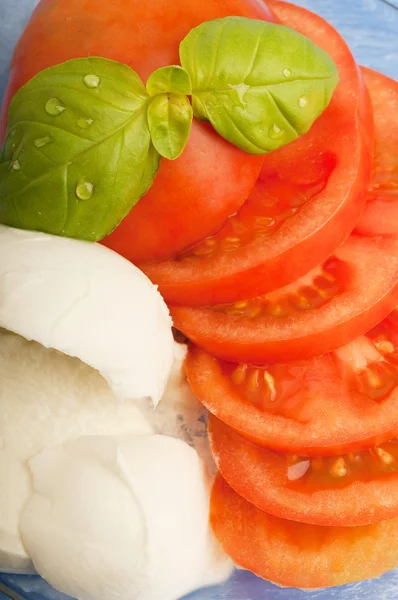Mozzarella och skivade tomater — Stockfoto