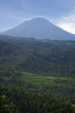 Bali Adası'manzara