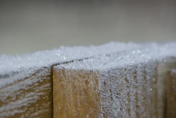 Legna leggera ricoperta di gelo in inverno — Foto Stock