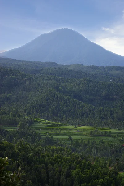 Landschaft auf Bali Island — Stockfoto