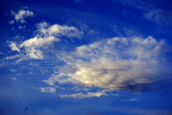 Nube altamente estructurada en un cielo azul — Foto de Stock