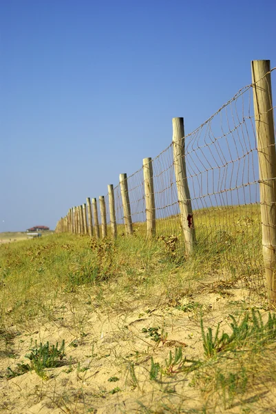 Barreira de piquete de madeira em dunas francesas — Fotografia de Stock