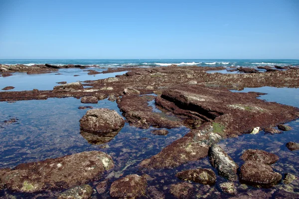 Pedras na maré baixa do Oceano Atlântico — Fotografia de Stock