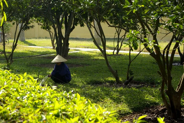 Vietnamese woman in asian garden — Stock Photo, Image