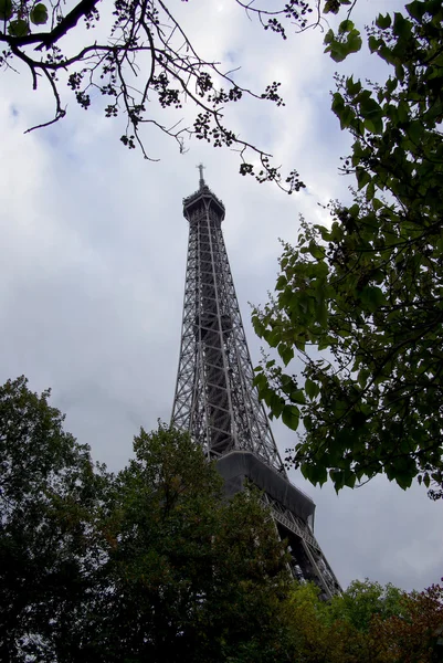 Eiffel tower between foliages — Stock Photo, Image